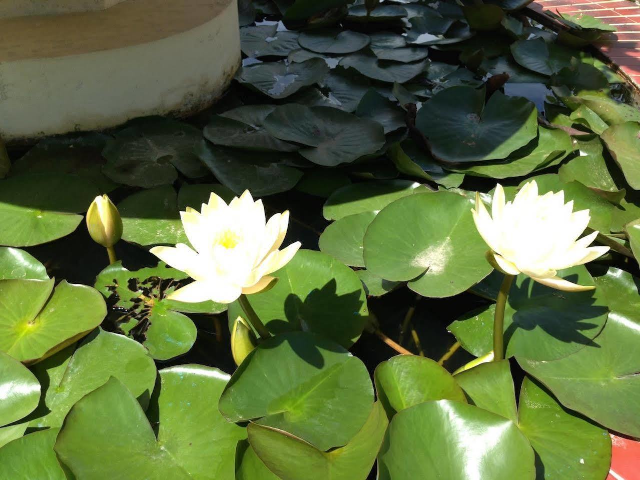 Paradise Hotel Nyaung Shwe Inle Lake Luaran gambar